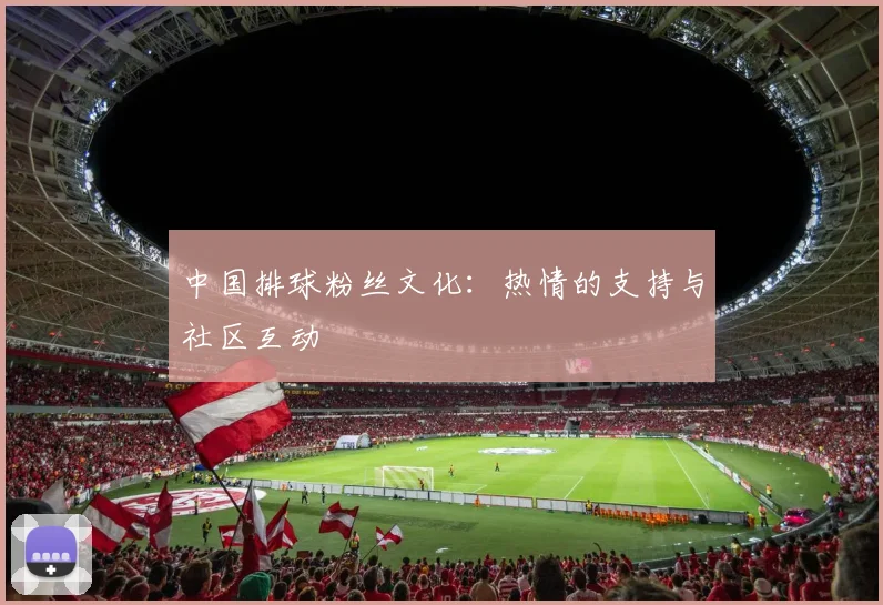 中国排球粉丝文化:热情的支持与社区互动
