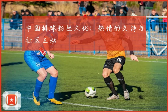 中国排球粉丝文化:热情的支持与社区互动